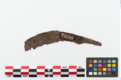 Foto von Eisengriffangelmesser (NHMW-PRAE-078084)